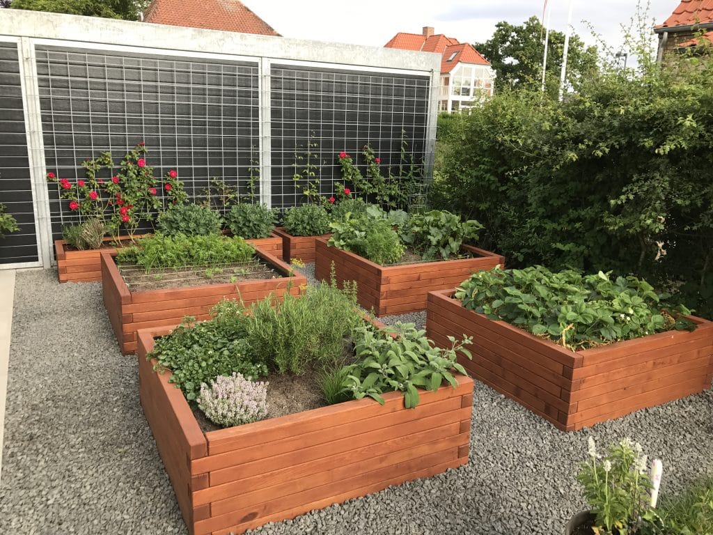 4 firkantet højbede med forskellige planter i mahogni træ