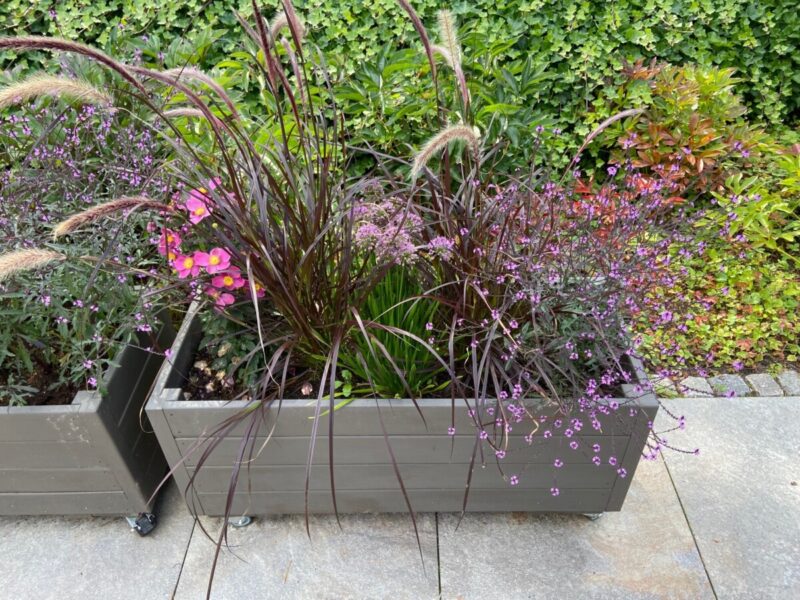 Plantekasse EivindPlus 80x40x40cm, Robinie/Sort - Billede 6