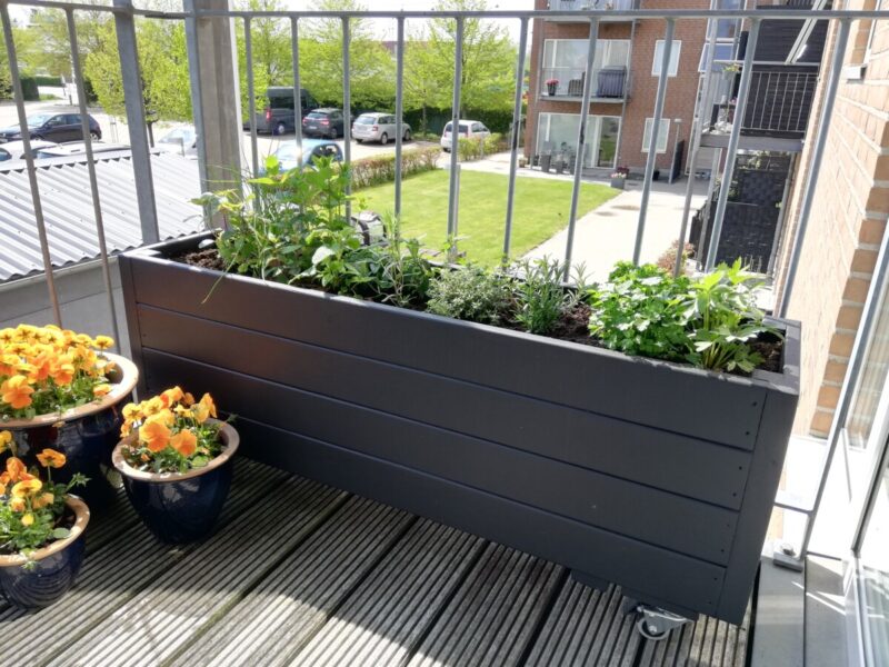 Plantekasse Eivind 30, Robinie, Natur eller behandlet - Billede 7