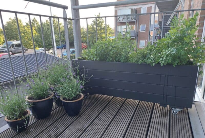 Plantekasse Eivind 30, Robinie, Natur eller behandlet - Billede 3