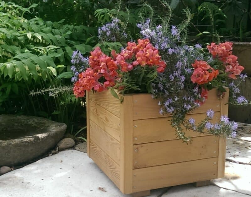 Plantekasser Eivind 40x40x40cm Robinie/Natur eller olieret