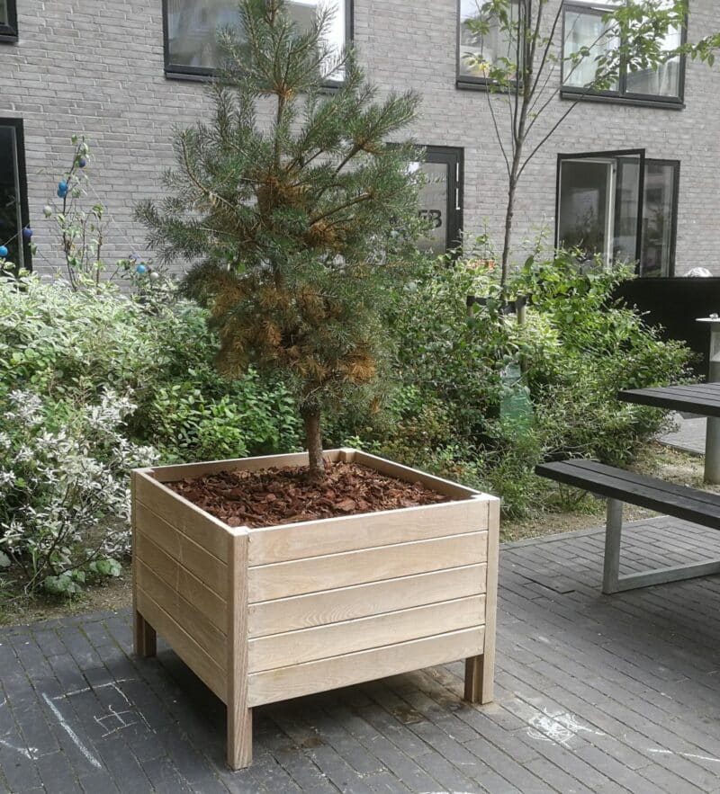 Plantekasse Eivind med ben, Natur eller behandlet - Billede 2
