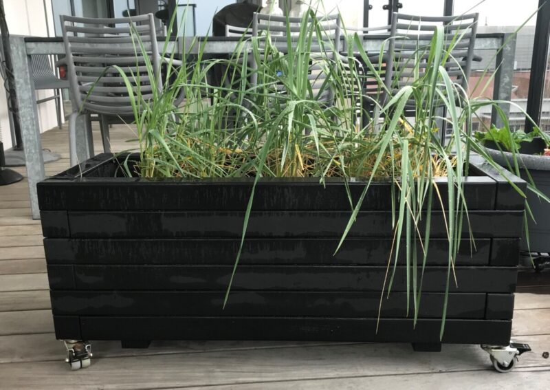 Plantekasse Hjalmar 120x50x36cm,Robinie/Sort, - Billede 7