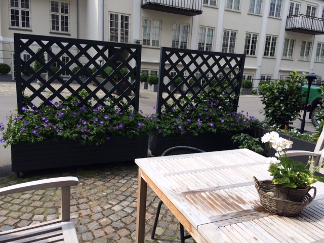 Plantekasser med Espalier