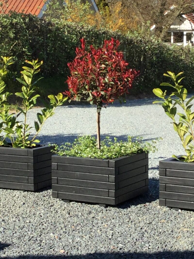 Plantekasse Hjalmar 60x60x36cm, Sort, På hjul - Billede 2