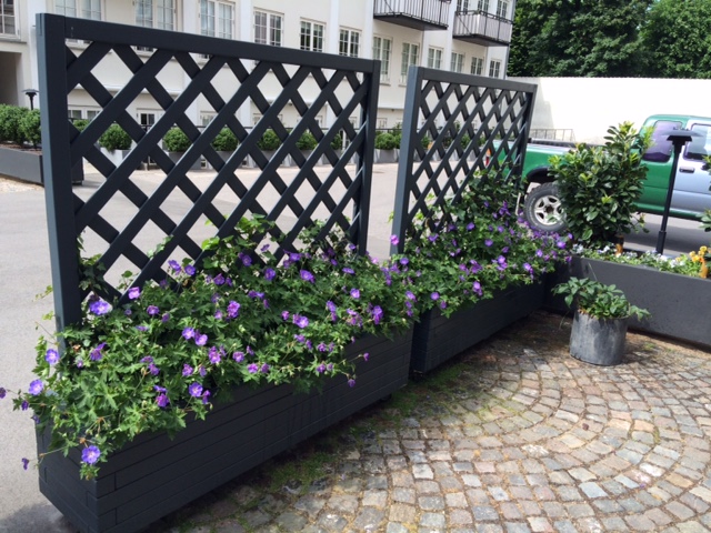 Plantekasser med Espalier
