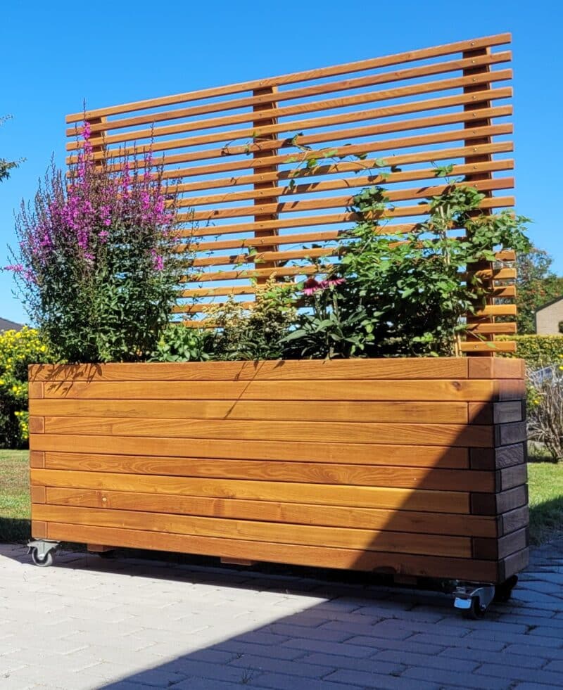Plantekasse Hjalmar med espalier, 200x40x70cm/160cm, Robinie/Olieret - Billede 2